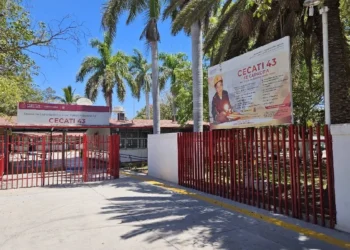 ¡Inscríbete! El 17 de enero inician los cursos sabatinos del Cecati 43 en Los Mochis