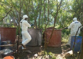 Desmantelan laboratorios clandestinos en Durango, Sinaloa y Michoacán