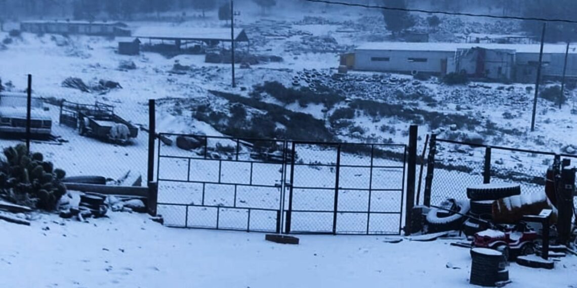 ¡No es el polo norte! La sierra de Guanaceví, en Durango, amanece “vestida de blanco”