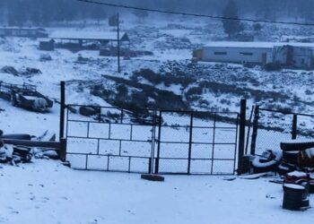 ¡No es el polo norte! La sierra de Guanaceví, en Durango, amanece “vestida de blanco”