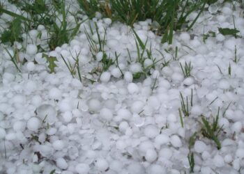 ¡Atentos! Ante caída de granizo en Guasave, Protección Civil emite recomendaciones