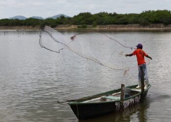 Pescadores alertan: la zafra camaronera no repunta en Navolato