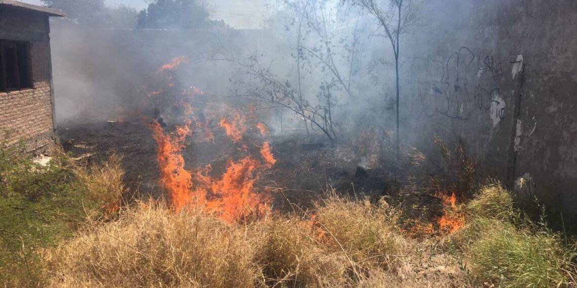 Supuestamente niños provocan incendio en baldío en el oriente de Los Mochis