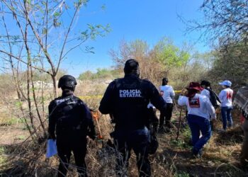 Menor que privó de la vida a mascota en un ejido en Ahome pagará la reparación de daño: Fiscalía