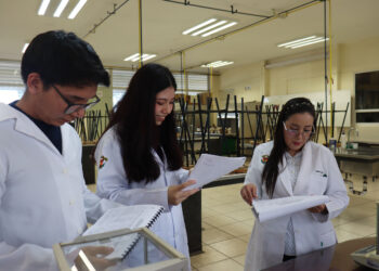 Investigadores de la UAS comprueban eficacia y seguridad de la medicina tradicional; validan propiedades analgésicas de la “hierba del manso”