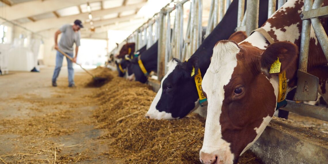 Gobierno de México refuerza operativos para contener el gusano barrenador; reportan 718 casos activos