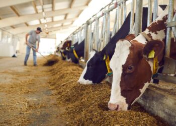 Gobierno de México refuerza operativos para contener el gusano barrenador; reportan 718 casos activos