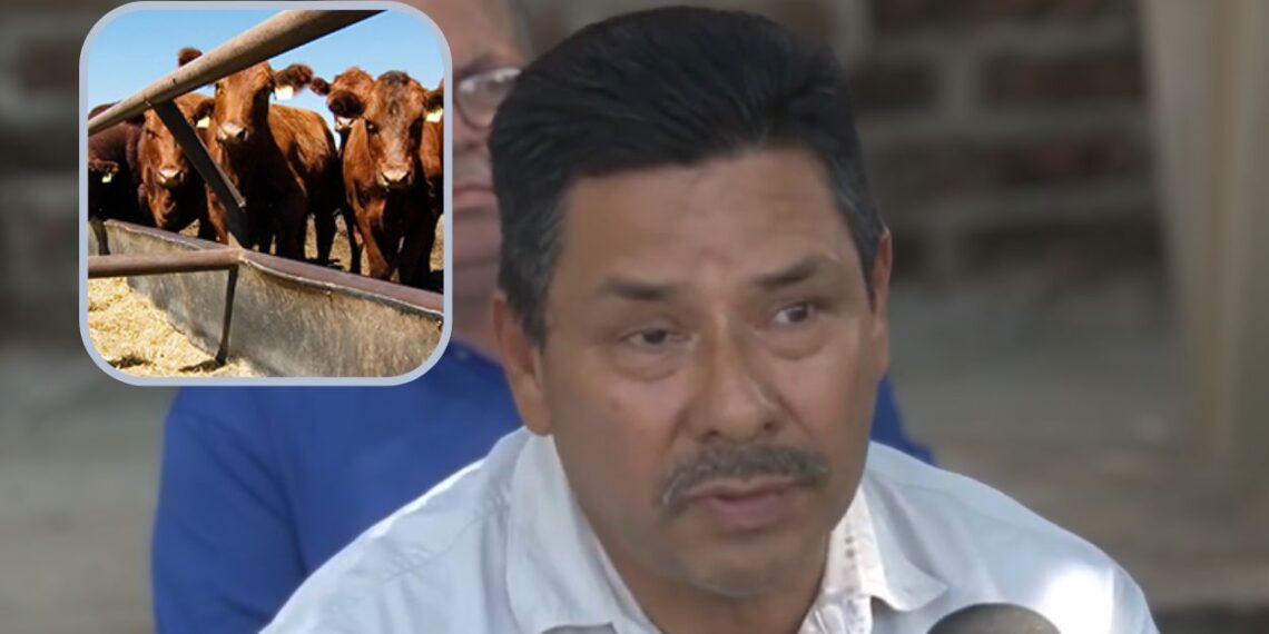 “Blindado Sinaloa contra el gusano barrenador”: Asociación Ganadera de Ahome