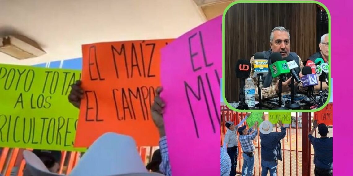 “Agricultores van encaminados a la quiebra, si no hay recurso del Gobierno Federal”: AARFS