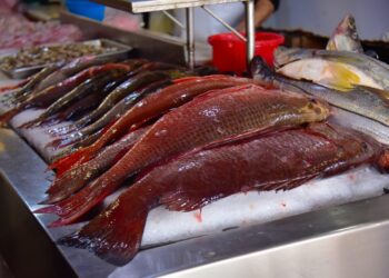 Inspección y Normatividad presenta lista de precios de Cuaresma 2026 y refuerza operativos en mercados