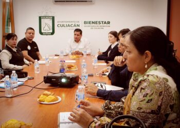 Activa Ayuntamiento de Culiacán plan de contingencia para el control del mosquito transmisor
