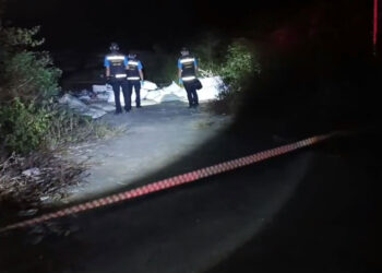 Adulto mayor muere tras ser atropellado en la carretera Los Mochis-Choix