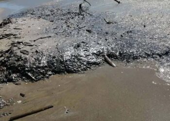 Derrame de hidrocarburo en el Golfo de México tiene tres fuentes, revela Secretaría de Marina