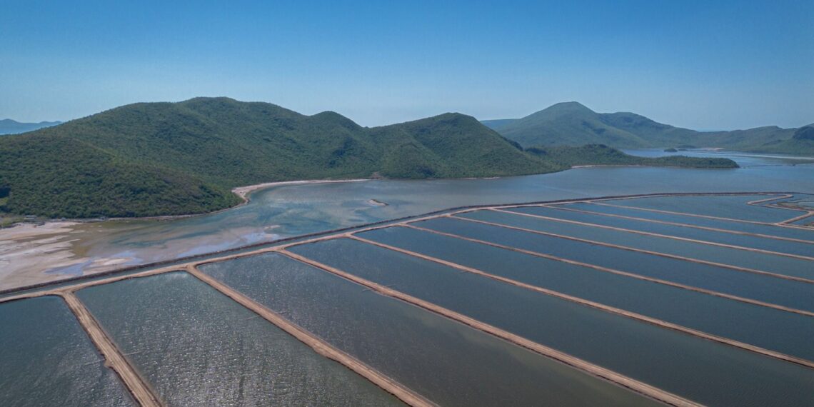 Publican acuerdo para permisos de siembra y notificación de cosecha en unidades acuícolas de Sinaloa