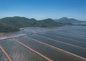 Publican acuerdo para permisos de siembra y notificación de cosecha en unidades acuícolas de Sinaloa