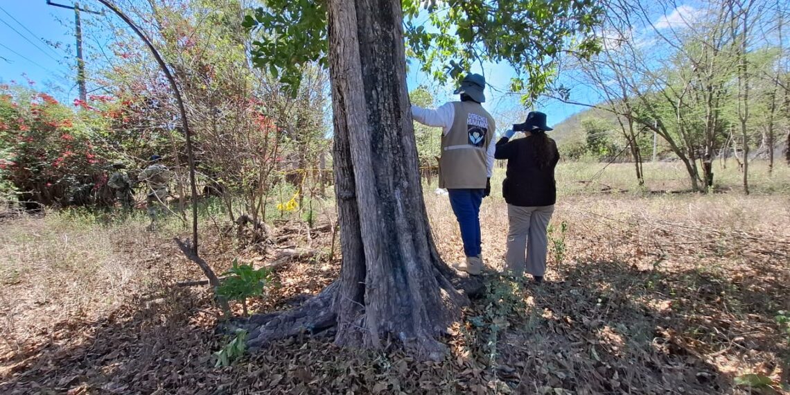 En el monte y cerca de una escuela localizan restos humanos en poblado de Imala en Culiacán