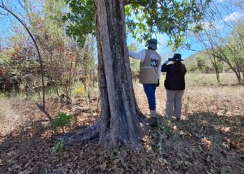 En el monte y cerca de una escuela localizan restos humanos en poblado de Imala en Culiacán