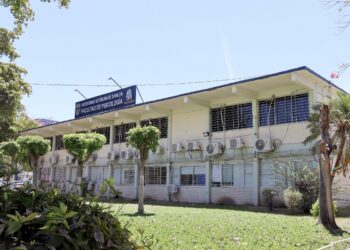 La Facultad de Psicología de la UAS abre convocatoria para diplomados virtuales 2026, que responden a los retos de la IA y la salud mental actual