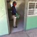 Refuerzan fumigación contra el dengue en escuelas de San Blas