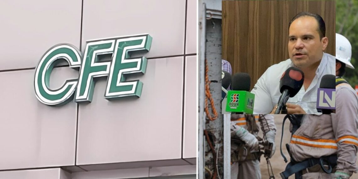 ¡Y nunca llegó el frío! ¿Cómo le fue a la industria en el norte de Sinaloa en la temporada decembrina?