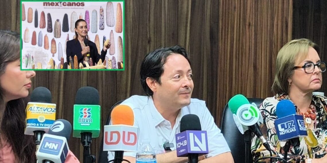 Inicia diálogo entre agricultores y Gobierno Federal: se requerirían entre 6 y 7 mil pesos por tonelada de maíz