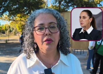 ¿Qué sigue para la Reforma Electoral? Esto dijo la Diputada Federal Graciela Domínguez