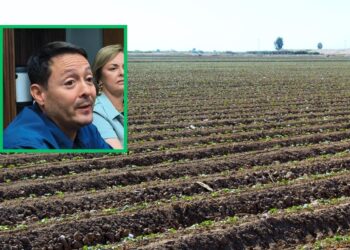 Avanzan en general de manera positiva los riegos en el norte de Sinaloa: AARFS