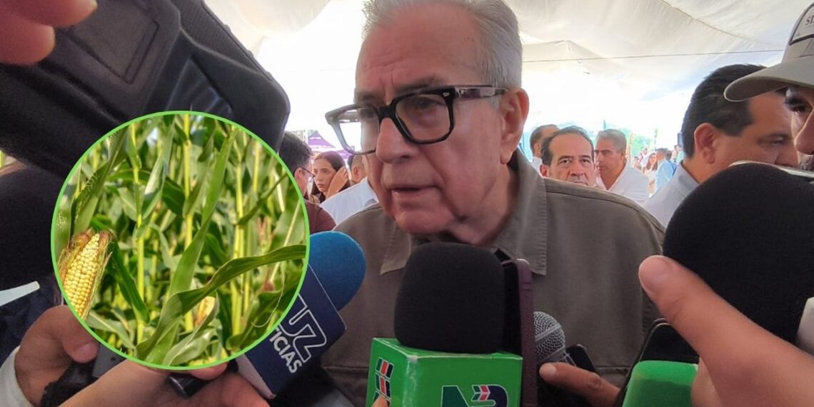 “Necesitamos concluir la venta del maíz, para checar los precios”: Rubén Rocha Moya