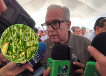 “Necesitamos concluir la venta del maíz, para checar los precios”: Rubén Rocha Moya