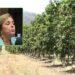 “Hay campos de mango en el norte de Sinaloa que no tuvieron una sola flor”: Kenya Moreno