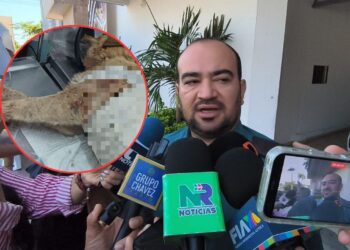 Avanza carpeta de investigación sobre perrita baleada en Prados del Sur: Vicefiscalía