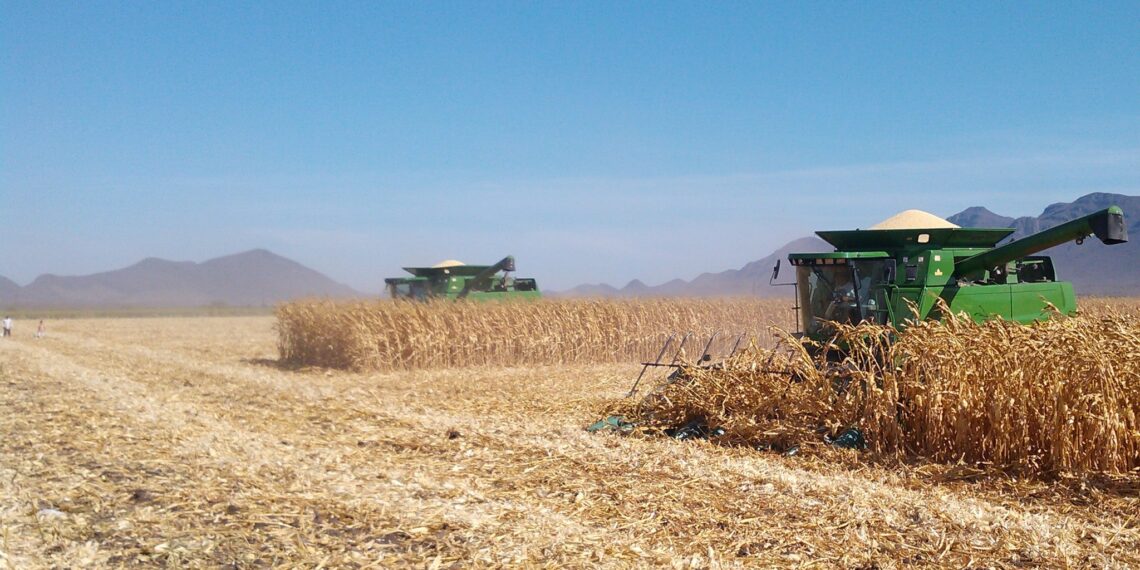 Hay confianza en la palabra de la presidenta; negociaciones avanzan positivamente