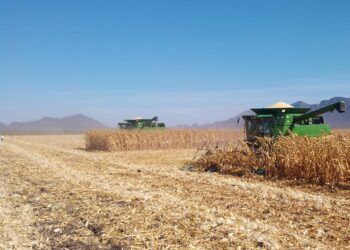 Hay confianza en la palabra de la presidenta; negociaciones avanzan positivamente