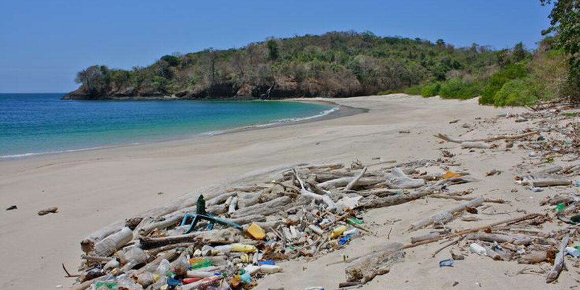 Post-Semana Santa: Contaminación por plástico aumenta un 70% en playas, advierte especialista; analiza el impacto ambiental tras el periodo vacacional