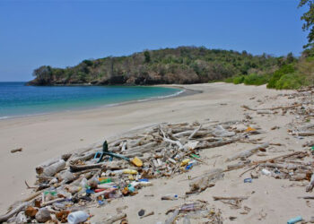 Post-Semana Santa: Contaminación por plástico aumenta un 70% en playas, advierte especialista; analiza el impacto ambiental tras el periodo vacacional