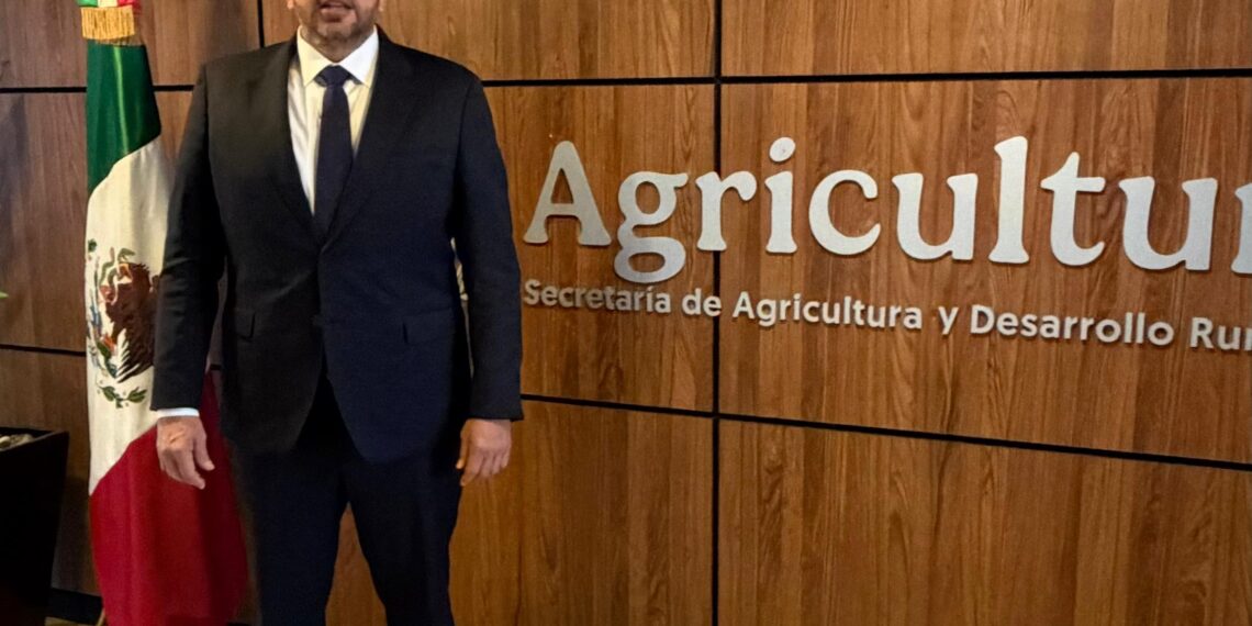 Reabre SADER ventanilla para pago a productores de maíz en Sinaloa, anuncia Ismael Bello Esquivel