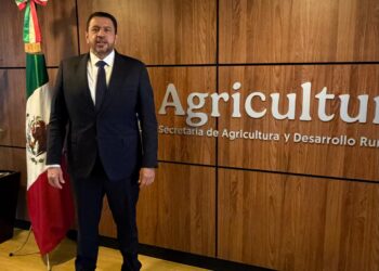 Reabre SADER ventanilla para pago a productores de maíz en Sinaloa, anuncia Ismael Bello Esquivel