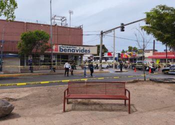 Pierde la vida adulto mayor en Los Mochis tras ser arrollado por un camión