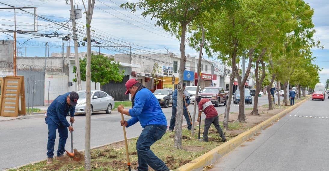 “Programa de bacheo, rehabilitación de banquetas y arborización, avanza satisfactoriamente”: Antonio Menéndez
