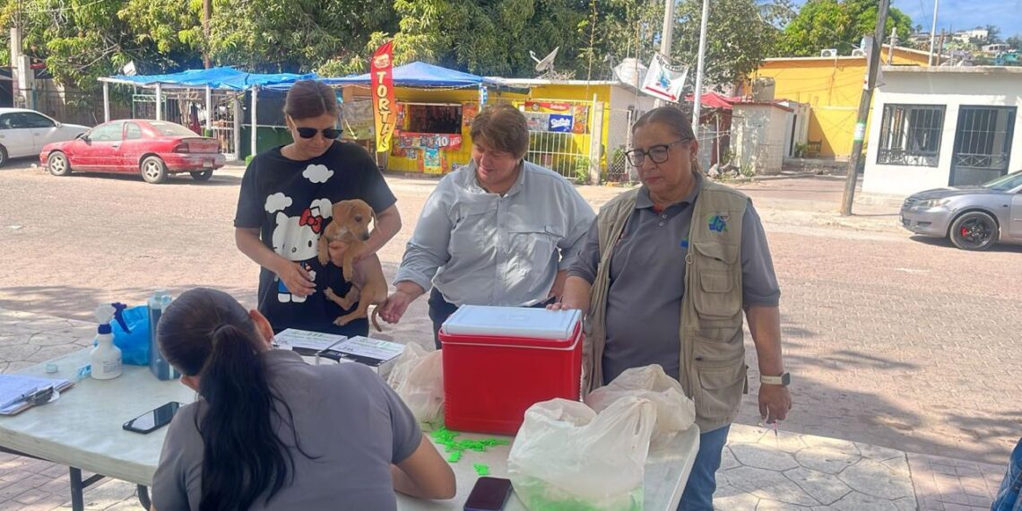 “Jornada de Vacunación Antirrábica “Salva Vidas”, queda permanente debido al gran éxito”: Ma. Isabel Astorga