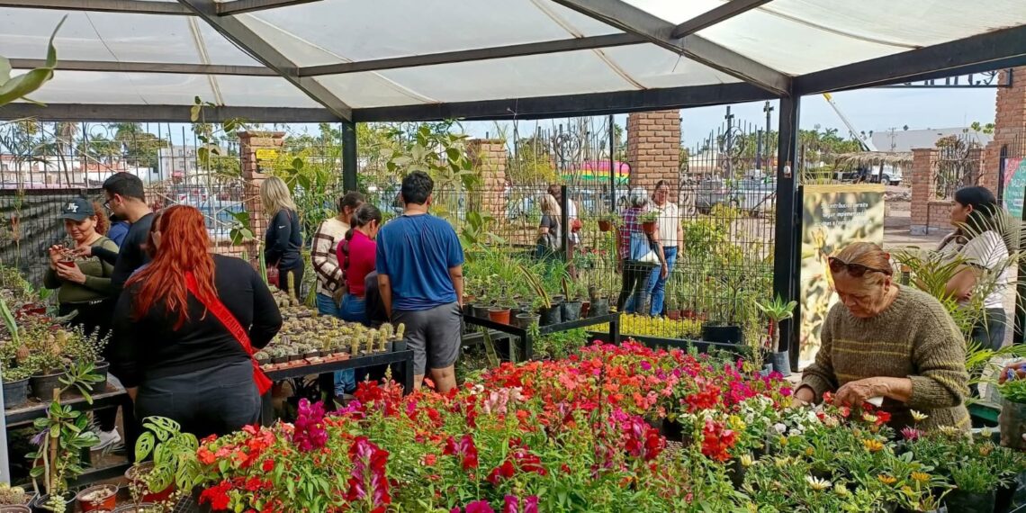 Parque Sinaloa te invita a su bazar de plantas por el Día de las Madres