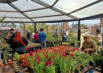 Parque Sinaloa te invita a su bazar de plantas por el Día de las Madres