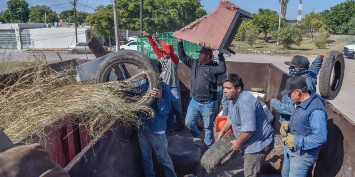 Salud Municipal intensifica eliminación de criaderos y fumigación en colonias de Ahome