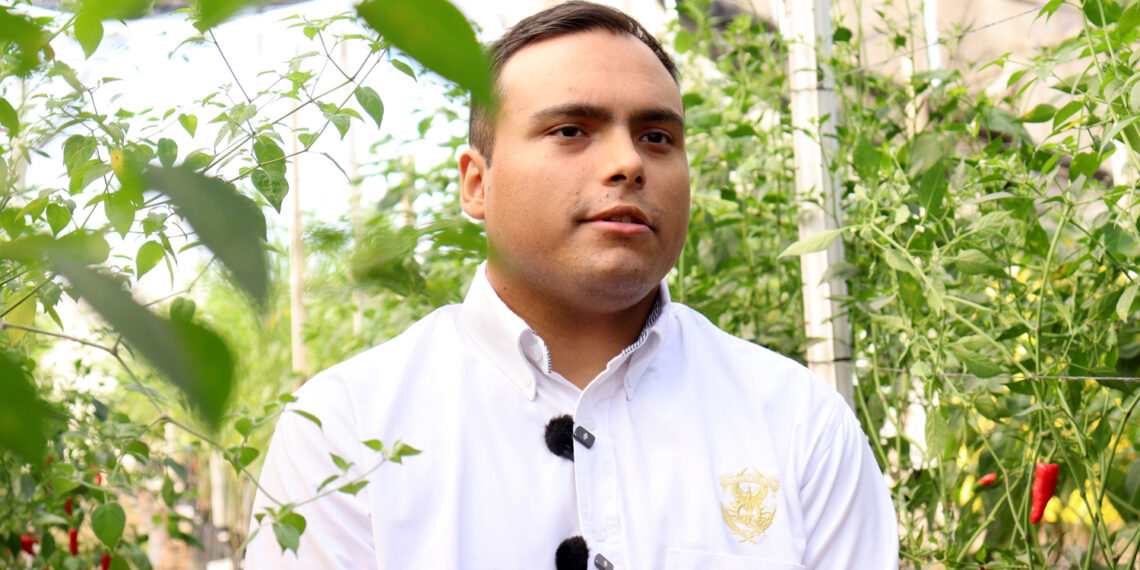 Investigador busca preservar especies de chile silvestre ante el cambio climático; plantean renovar bancos de semillas por la creciente urbanización