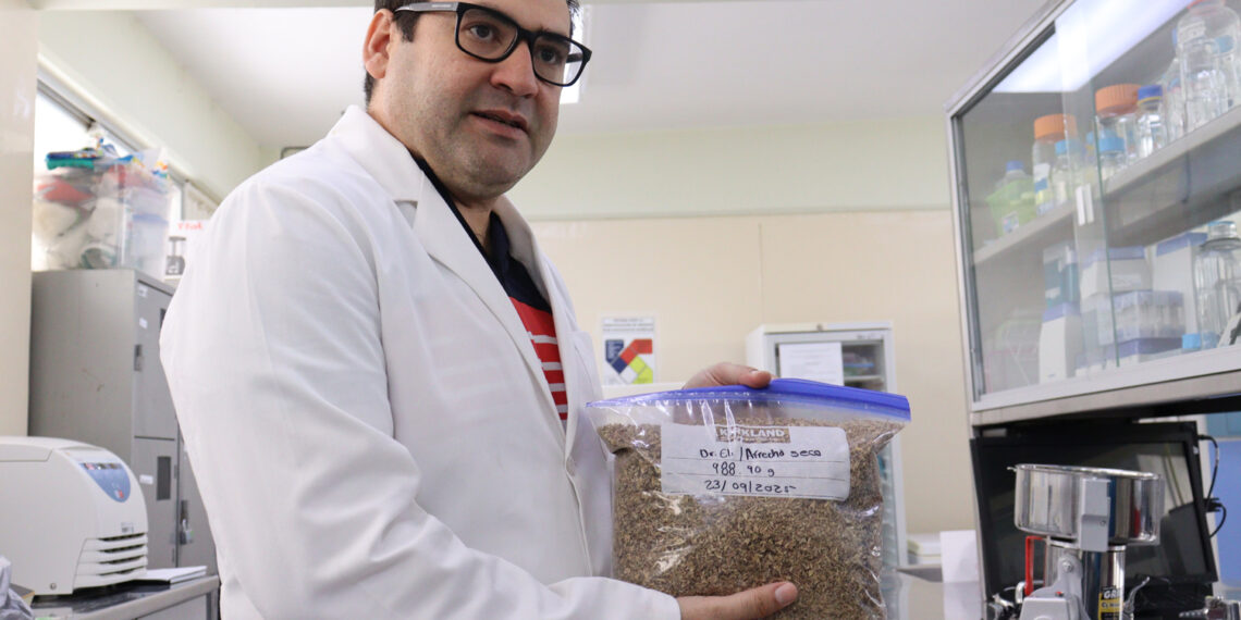 Investigador transforma el desperdicio de cerveza y orujo de oliva para combatir enfermedades crónicas como obesidad, diabetes e hipertensión