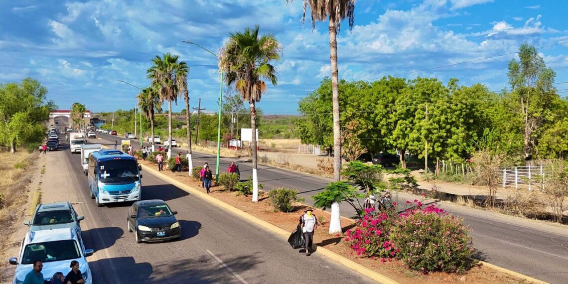Gobierno de El Fuerte realiza arborización en bulevar de la cabecera municipal