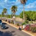 Gobierno de El Fuerte realiza arborización en bulevar de la cabecera municipal