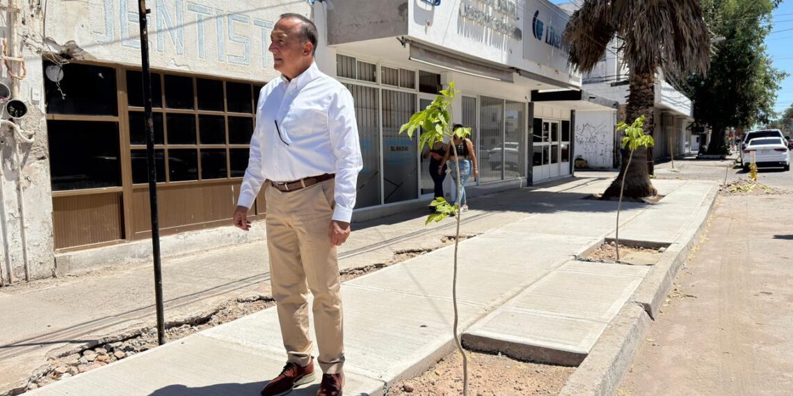 Gobierno de Ahome amplía programa integral de espacios peatonales y reforestación urbana