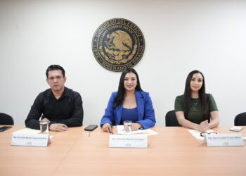 Comisión de La Juventud, Cultura Física y Deporte del Congreso de Sinaloa trabaja en Convocatoria del Premio al Mérito Juvenil 2026