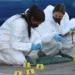 Gobierno de México reporta caída del 40% en homicidios dolosos desde septiembre de 2024
